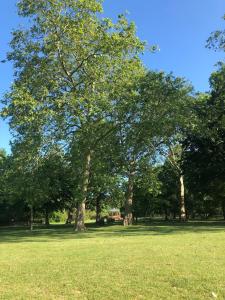 Stylish Flat in Queens Park with Private Parking, Central London Access