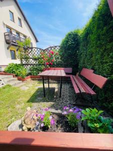 Apartamenty Pod Lwami