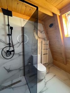 Mara Frames - Moisei