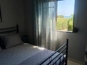 Casa Marea by Horizon Homes