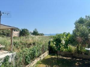 Casa Marea by Horizon Homes