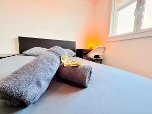 Appartements Le Trey : photos des chambres
