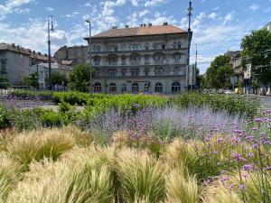 Zene Family Apartment