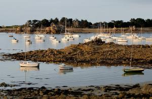 Maisons de vacances Small house with sea view : photos des chambres