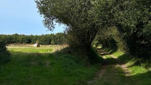 Maisons de vacances Small house with sea view : photos des chambres