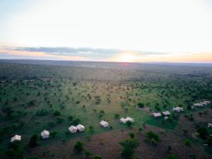 Pamoja Migration Camp