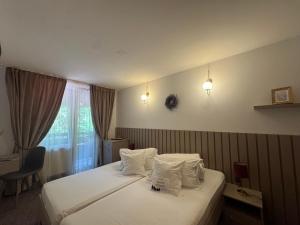 Standard Twin Room with Mountain View room in Valea lui Liman