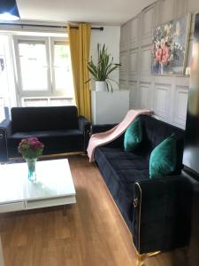 Little apartment 20 min from central London