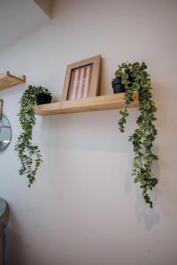 Appartements Ecrin Pontissalien - Studio with Parking : photos des chambres