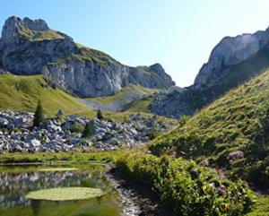 Studio pied des pistes - Bernex