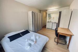 Studio of 21m 2 near the heart of Toulouse