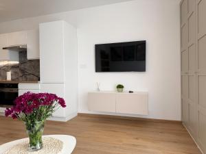 B50 Trzy Lipki - Apartament Bielsko - WGH Rent