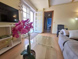 Luna - Disfruta de Ourense en este piso con terraza en el casco histórico