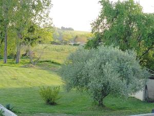 Maisons de vacances L-Edenwine jardin clos et spa privatif : Maison 1 Chambre