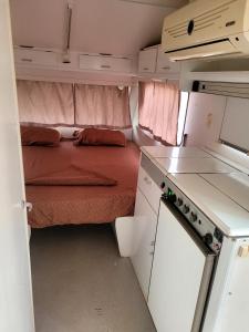 Aquariumi Jale Camping