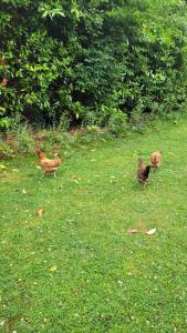 Stone Lodge Bed & Breakfast