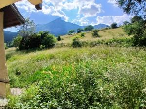 Appartement station de Laye