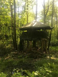 Das wilde Auwaldhaus