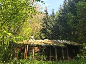 Das wilde Auwaldhaus