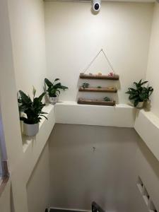 Family House Bui Vien