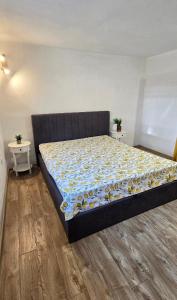 Old-Timer 2 Central Varna