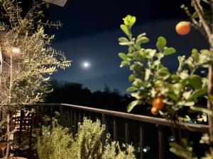 HUNAB Roma Apt - Pool, Coworking and Gym NEW