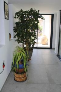 Villas Villa moderne avec jacuzzi, piscine et vue : photos des chambres