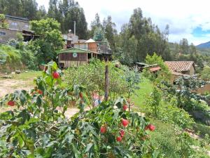Glamping colina campestre ecológica