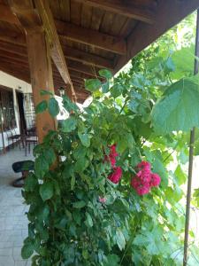 Къща за гости Veranda Raia Поморие