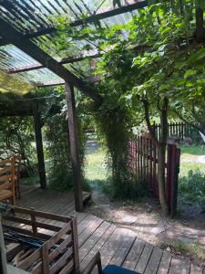 Maisons d'hotes Les Planious : photos des chambres