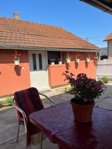 Apartman CVET Bajina Bašta