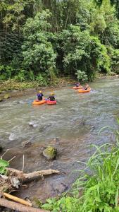 Jungle River 5 BR Villa- Pool, Yoga, Tubing Near Ubud