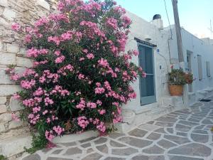 Villa Romantica
