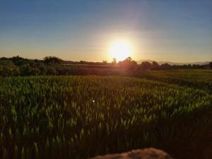 Cortijo de Montesanto S XVII