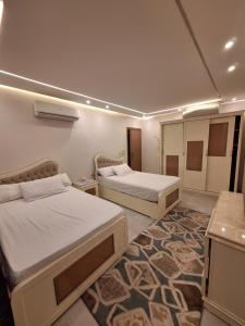 شقه فندقيه بانوراميه بالدقي