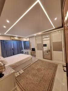 شقه فندقيه بانوراميه بالدقي