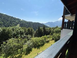 Appartements Charmant duplex avec parking et equipements bebe - FR-1-505-64 : photos des chambres