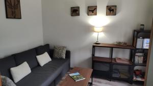 Appartement T2 Les Capucines avec balcon et wifi proche de lhyper centre Mont Dore