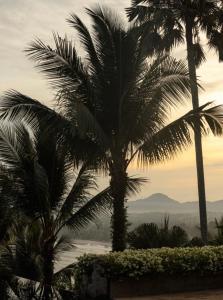 Ozone Phuket Kata Beach Resort & Wellness