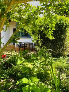 Fewo A am Theater mit Terrasse und Balkon