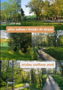 Apartament Anastazja FREE PARKING