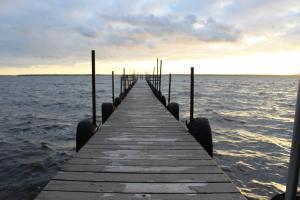 Cabin 5 - Modern Cabin with AC and lake views Fully handicap accessible