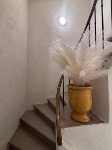 B&B / Chambres d'hotes La Saphir : photos des chambres