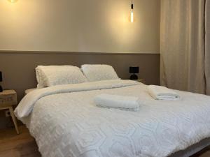 Maisons de vacances Maison elegante & jardin prive : photos des chambres