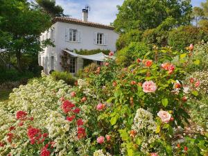 B&B / Chambres d'hotes Lou Pantai, Bed and Breakfast, double room : photos des chambres