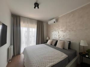 Blue Manor Apartment