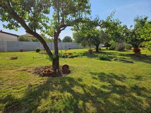 Kosovic Family House