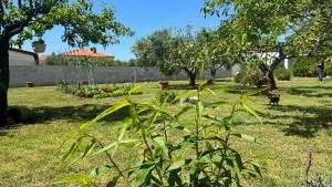 Kosovic Family House