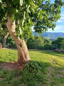 Appartamento con 3 Camere da Letto