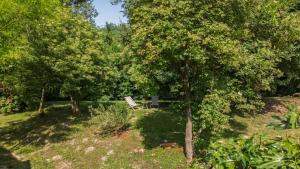 La Suite du Manoir - Champagne et Sérénité